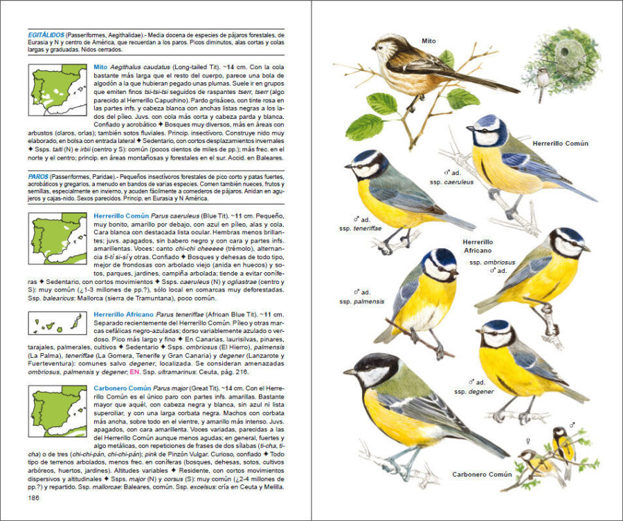 Pàgina de mostra Aves de España